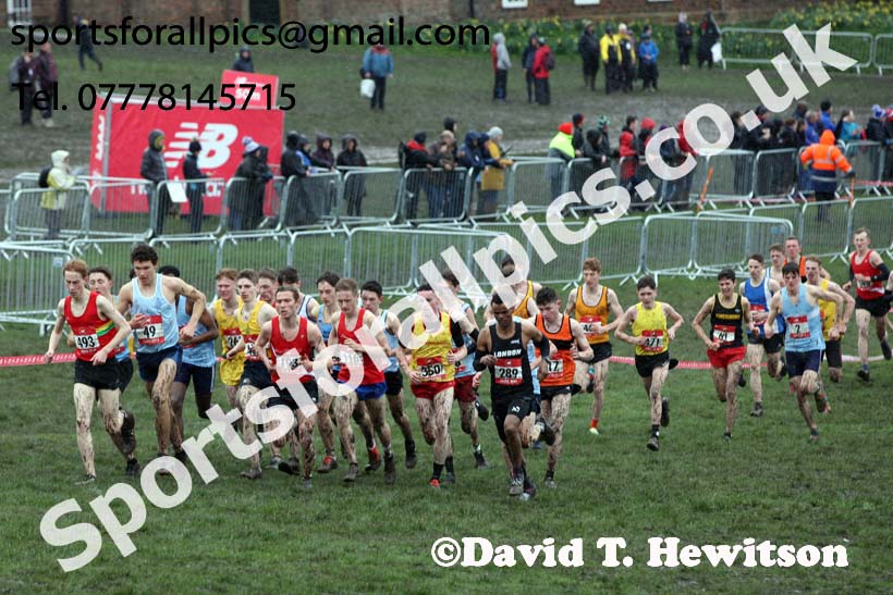 Senior boys 2019 New Balance English Schools Cross Country Champs, Temple Newsam, Leeds. Photo:  David T. Hewitson/Sports for All Pics